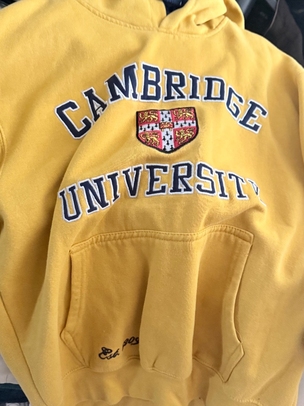 Official University of Cambridge Hoodie Yellow Navy Men's Large